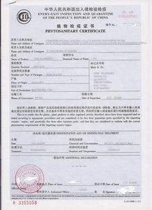 提供代办植物检验证书,植检证,清关单证植检证价格 厂家 图片